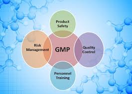 GMP in pharmaceuticals