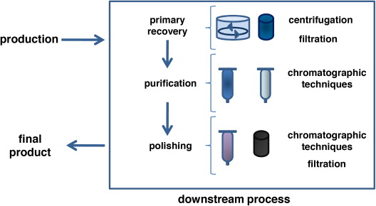 Fermentation-Based API