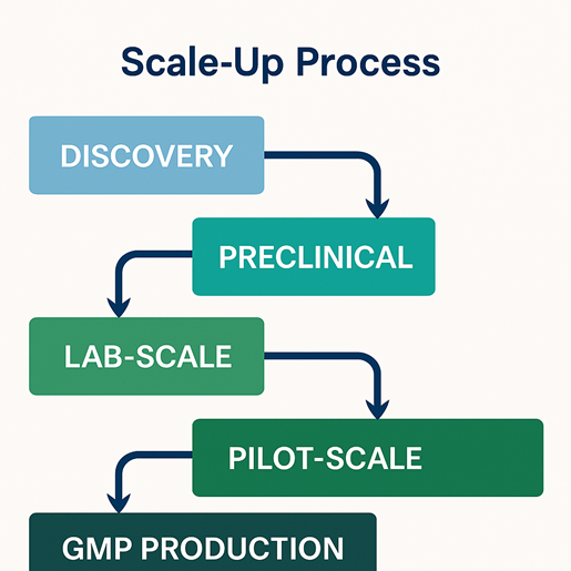 Scale-Up Studies in Pharmaceuticals