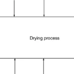 Drying Process in Pharmaceutical Industry